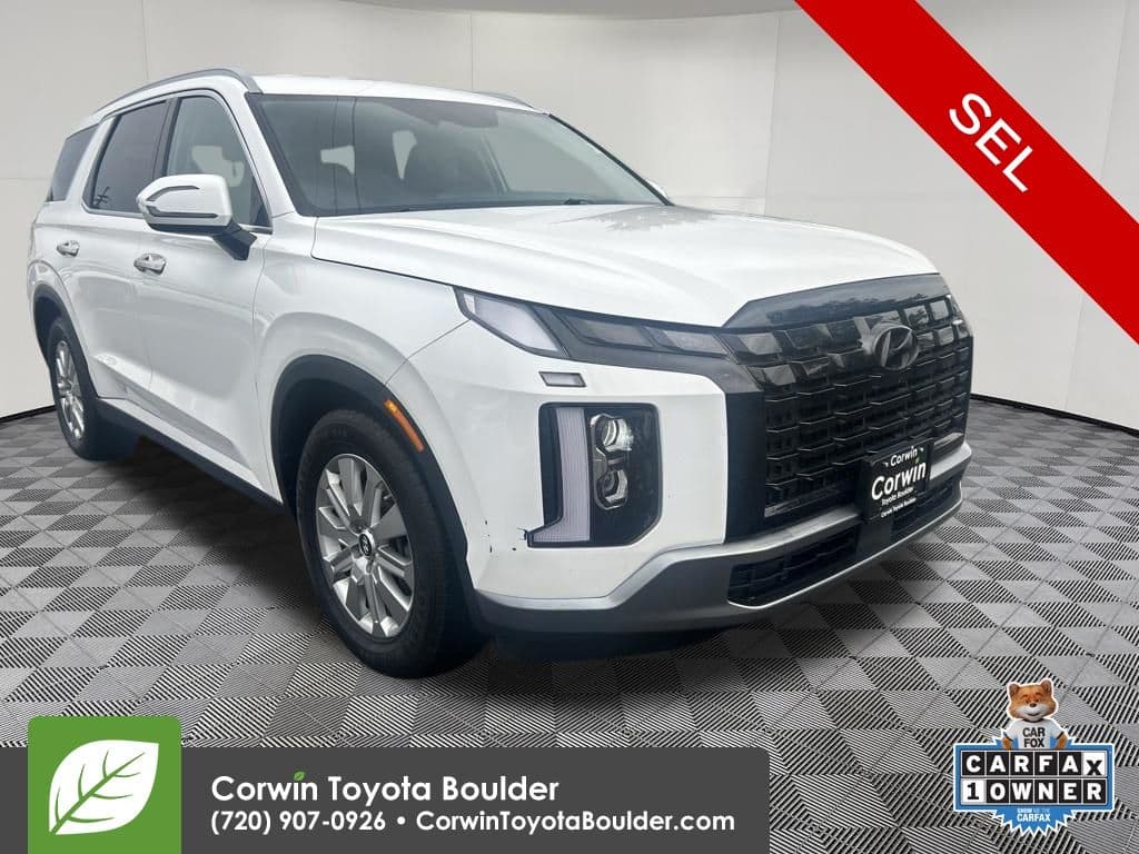 2024 Hyundai Palisade SEL 7P — photo 1 of 34