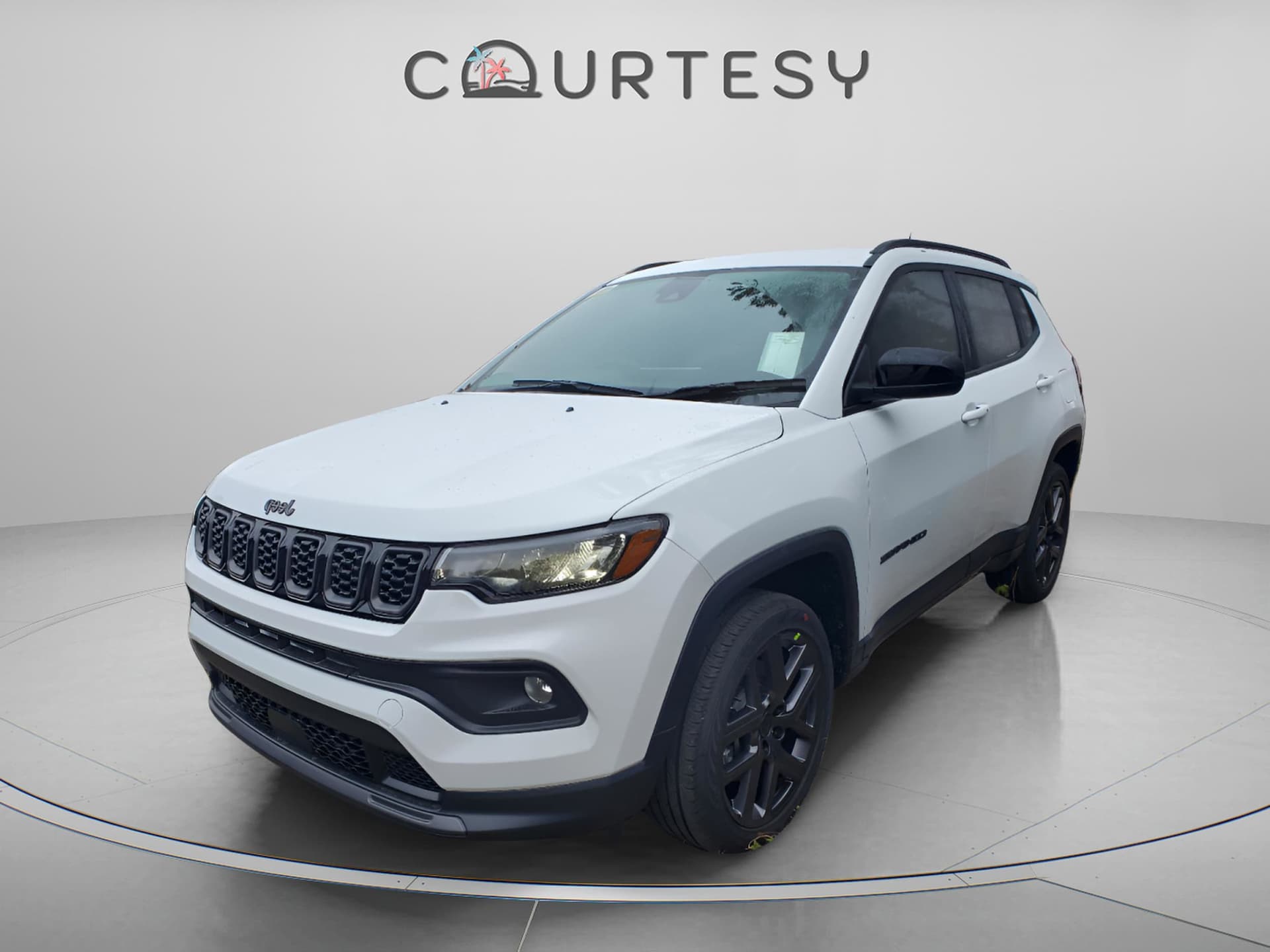 Vehicle Detail Icon