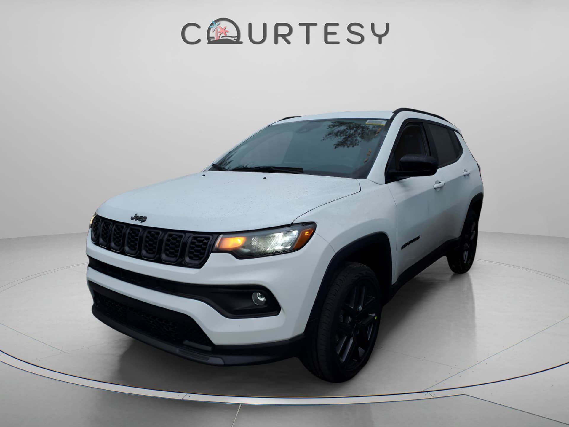 Vehicle Detail Icon