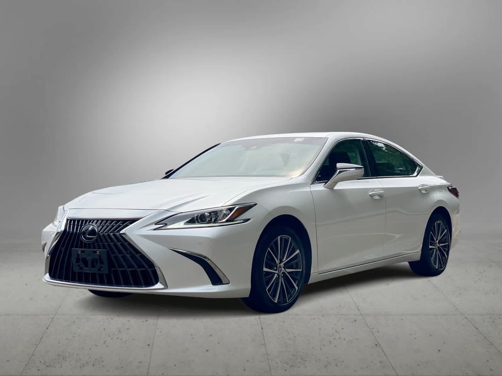 2023 Lexus ES 250 Base — photo 1 of 34