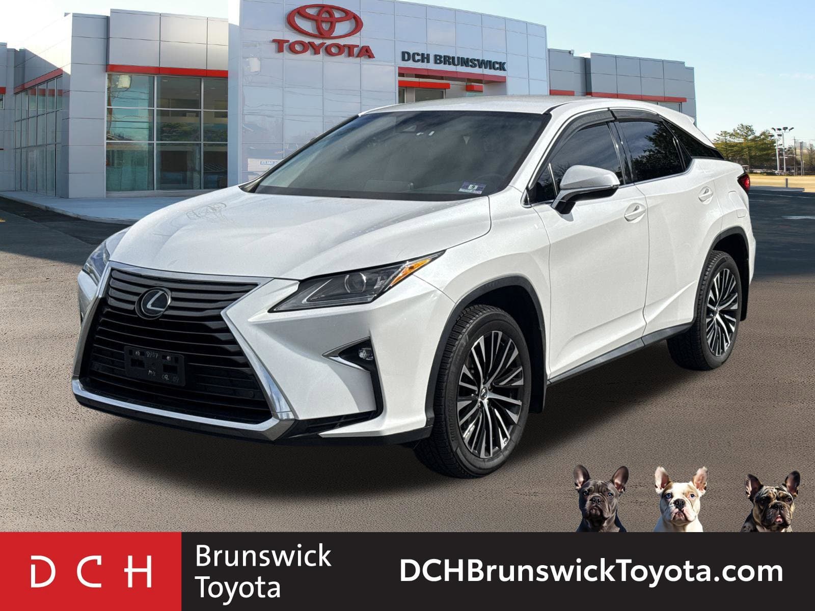 2019 Lexus RX Base — photo 1 of 30