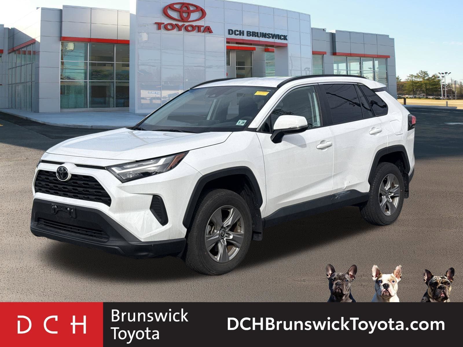 2024 Toyota RAV4 XLE — photo 1 of 31