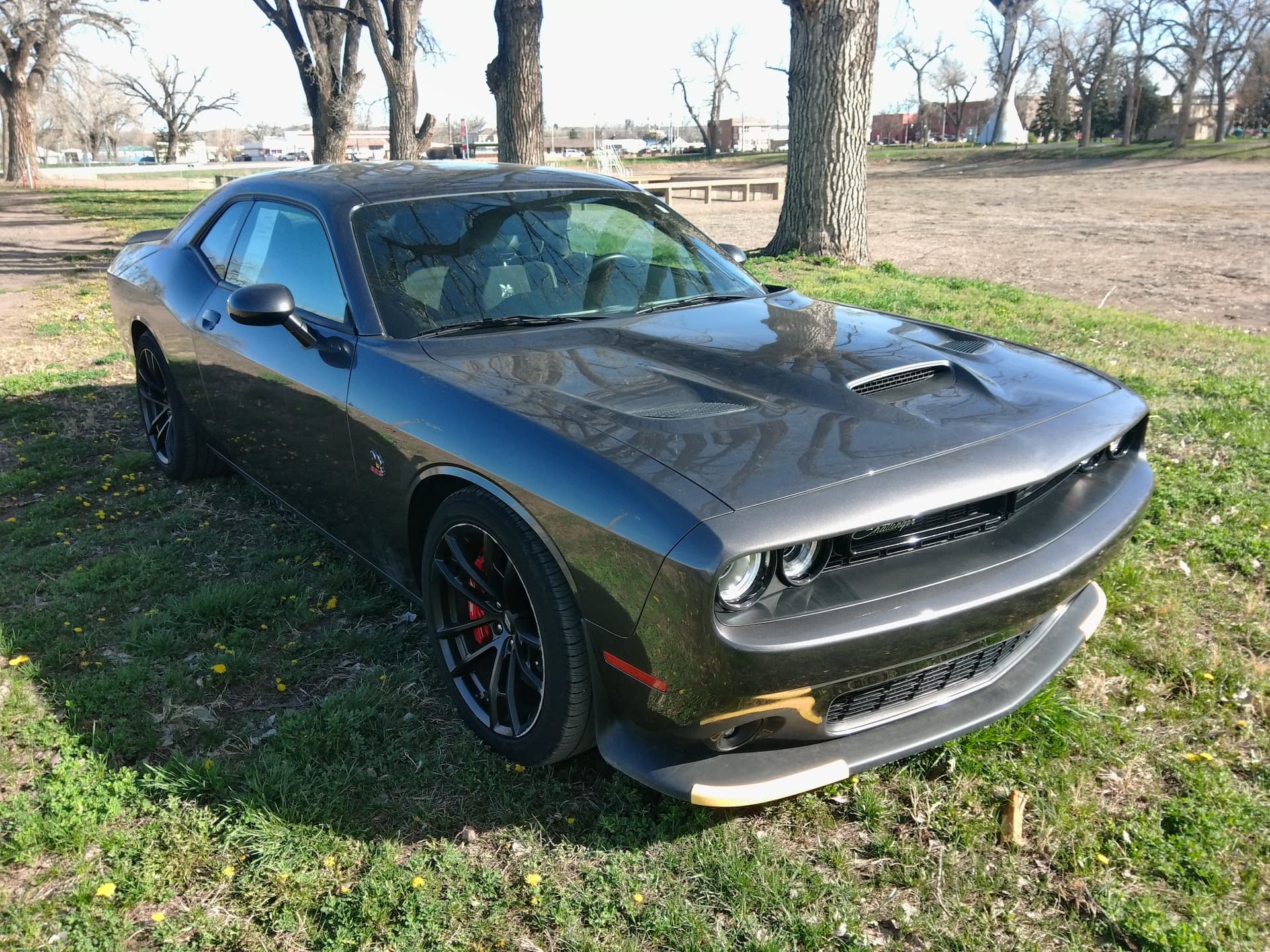 Vehicle Detail Icon