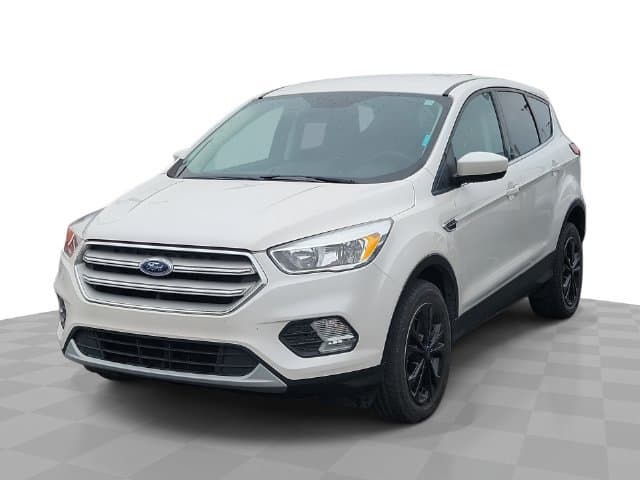 2019 Ford Escape SE — photo 1 of 4