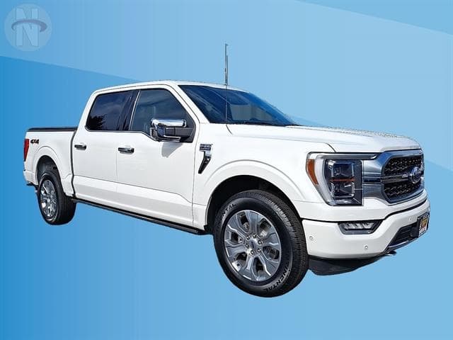2022 Ford F-150 Platinum — photo 1 of 11