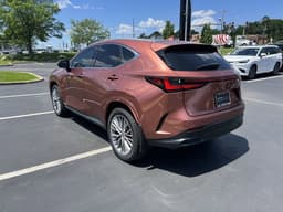 Extra Photo