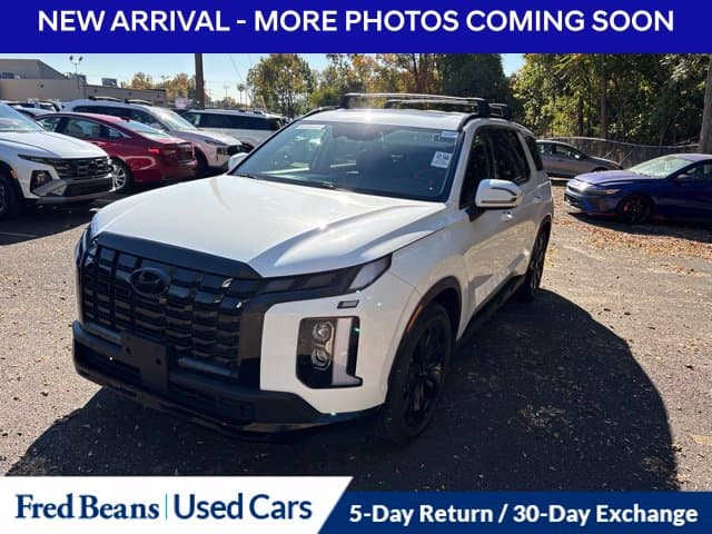 2024 Hyundai Palisade XRT — photo 1 of 14