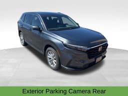 Extra Photo