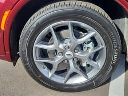 Extra Photo