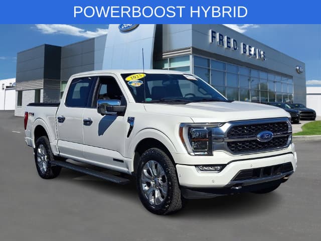 2023 Ford F-150 Platinum — photo 1 of 31