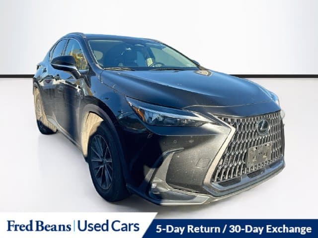 2024 Lexus NX Base — photo 1 of 28