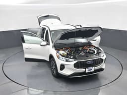 Extra Photo