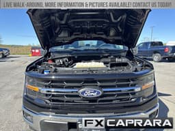 Extra Photo