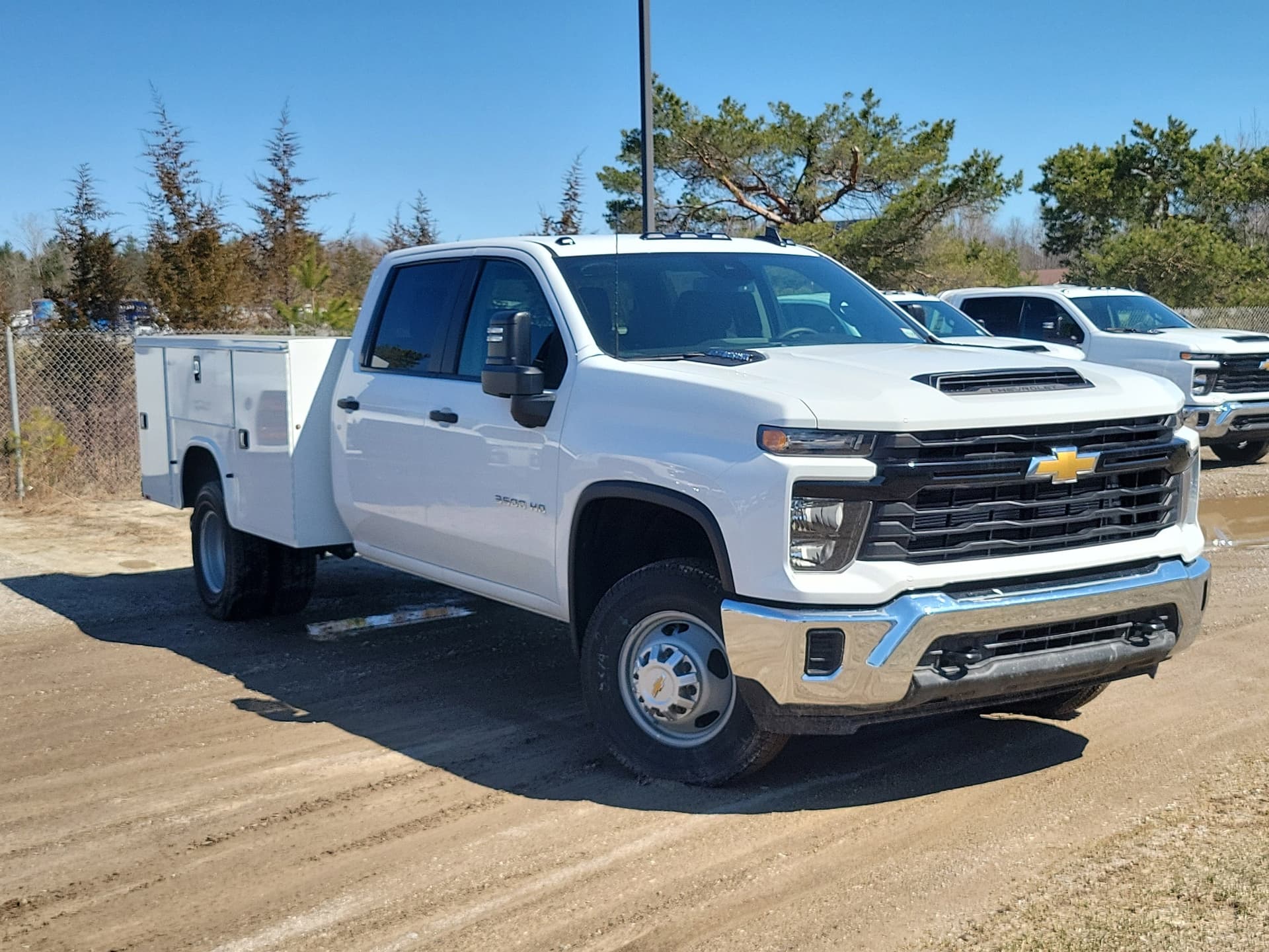 Vehicle Detail Icon