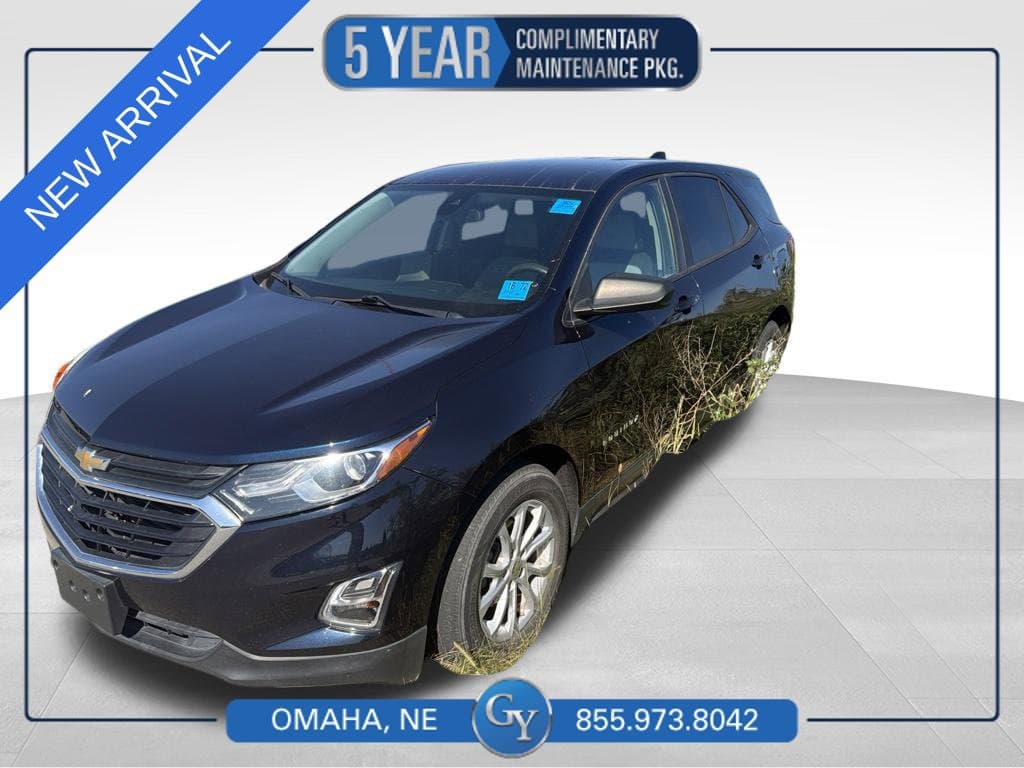 2020 Chevrolet Equinox LS — photo 1 of 6