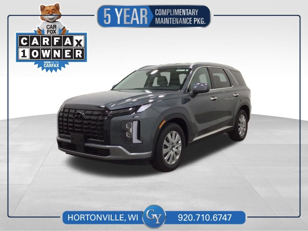 2025 Hyundai Palisade SEL — photo 1 of 38