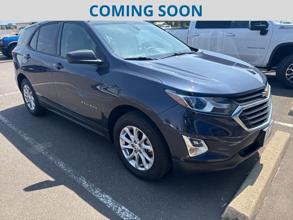 2019 Chevrolet Equinox LS — photo 1 of 13