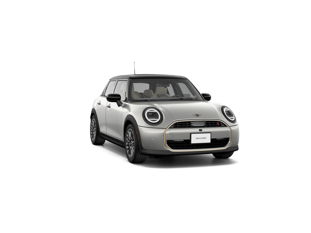 Vehicle Detail Icon
