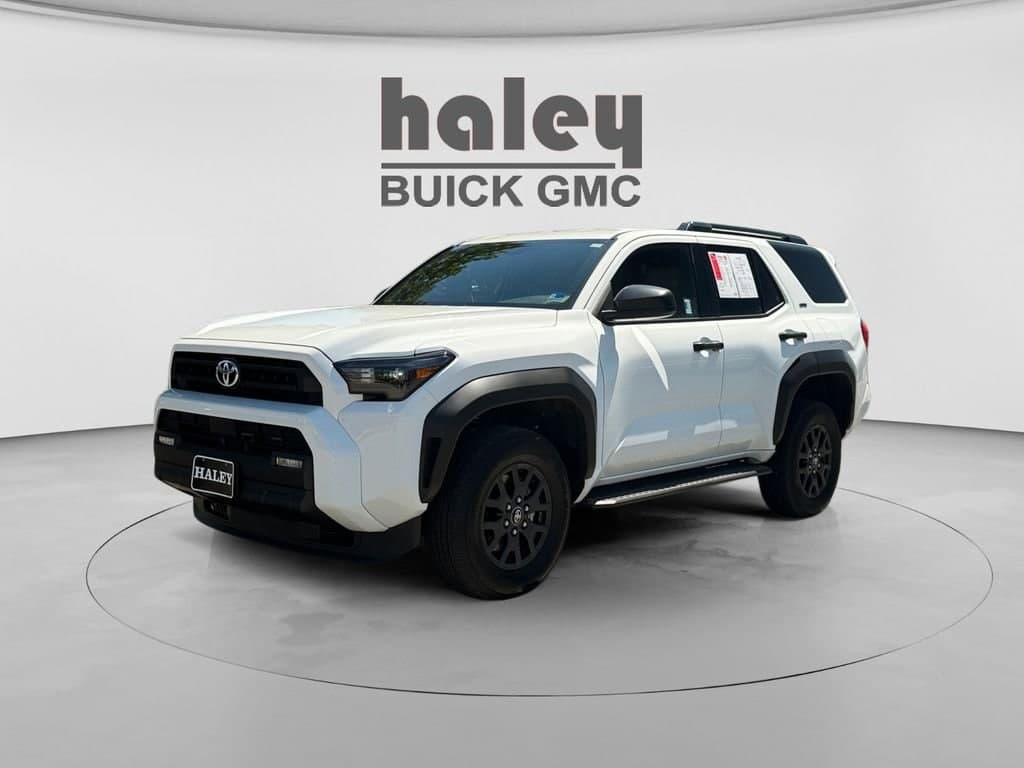 Vehicle Detail Icon