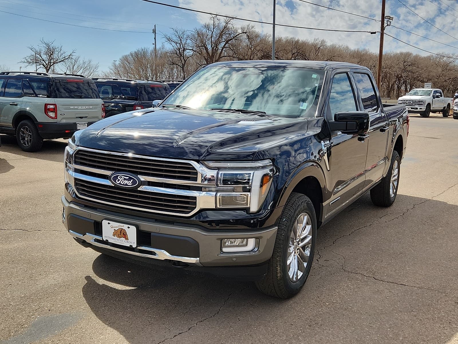 Foto de 2025 Ford F-150 King Ranch