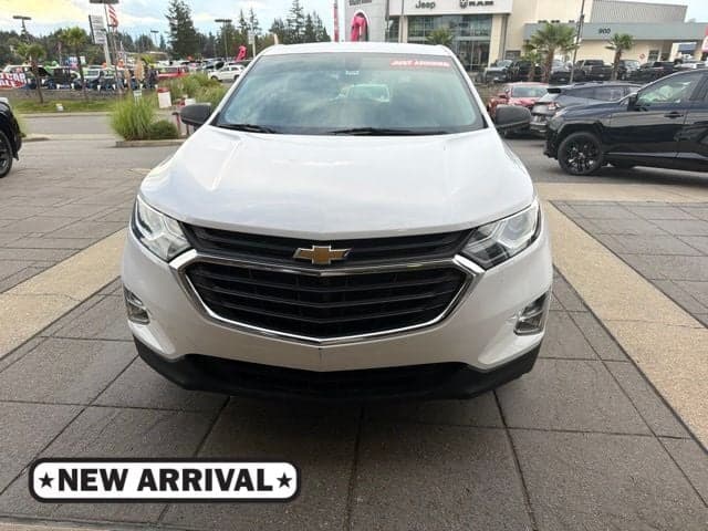 2018 Chevrolet Equinox LS — photo 1 of 8