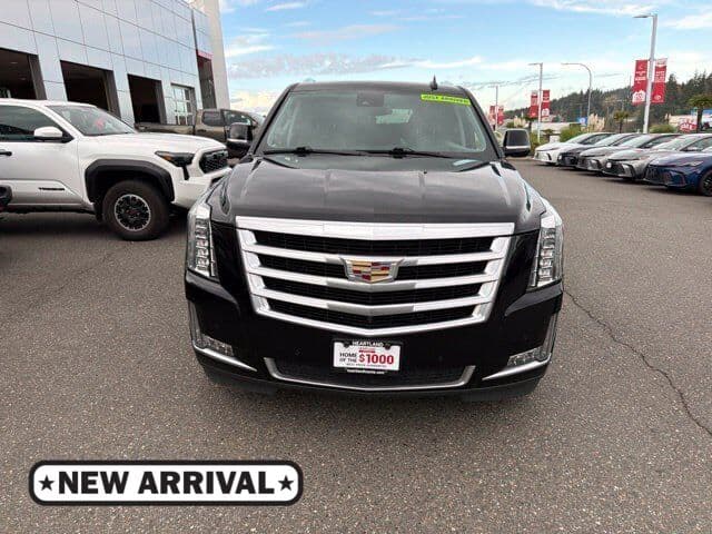 2020 Cadillac Escalade ESV Luxury — photo 1 of 8