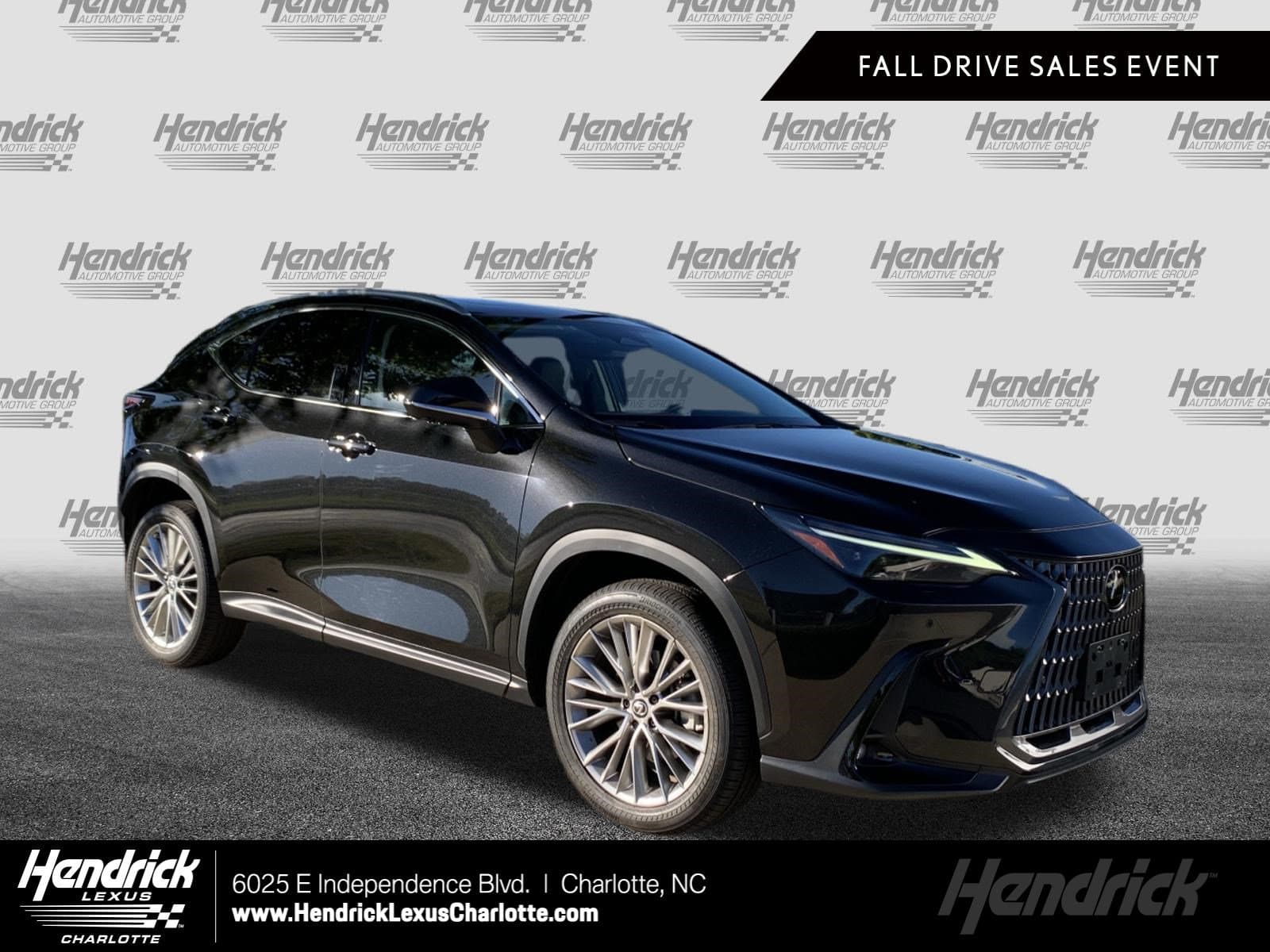 2024 Lexus NX Base — photo 1 of 36