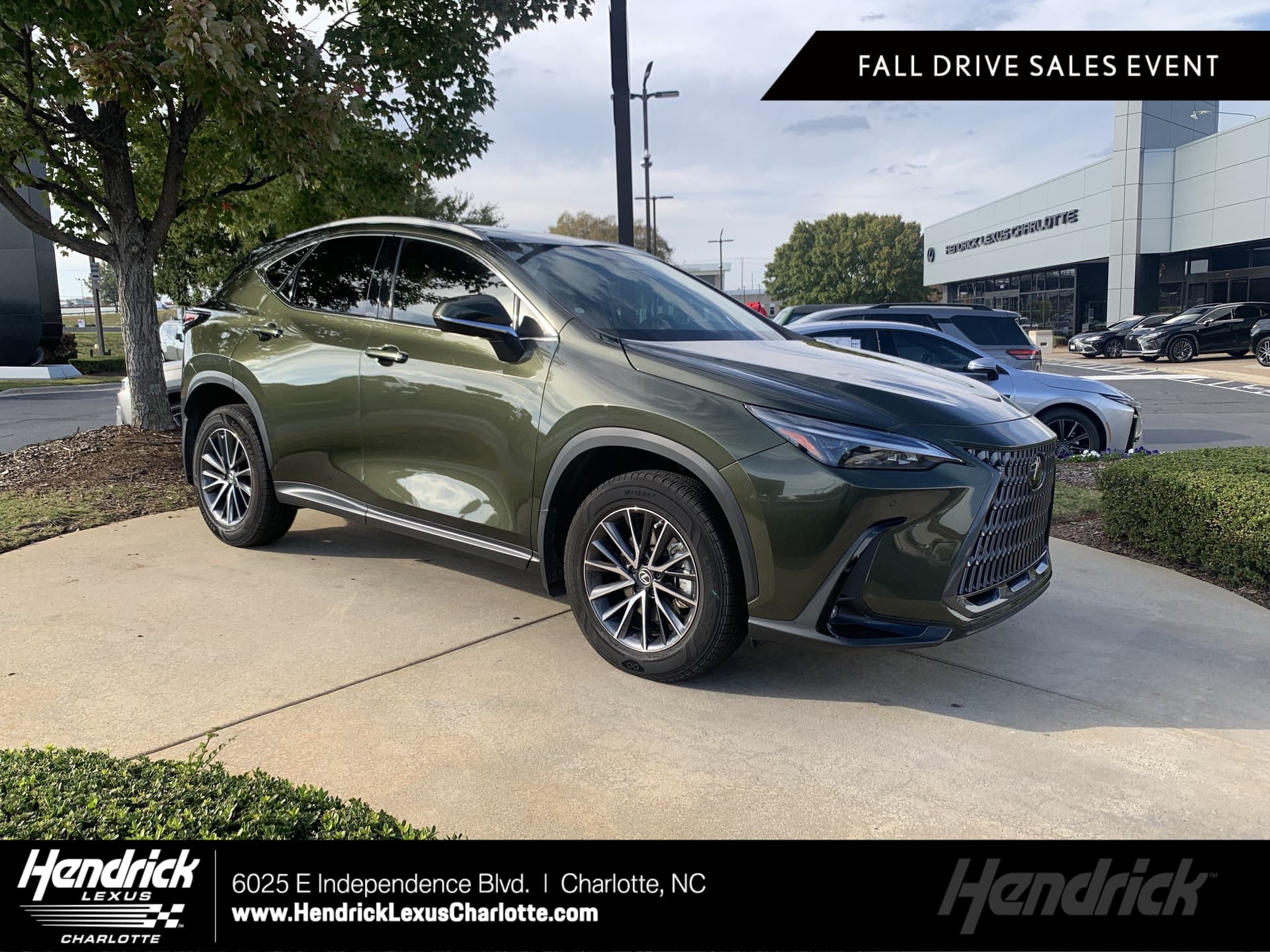 2024 Lexus NX Base — photo 1 of 36