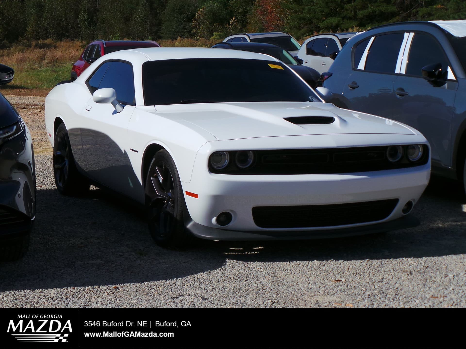 2022 Dodge Challenger R/T — photo 1 of 4