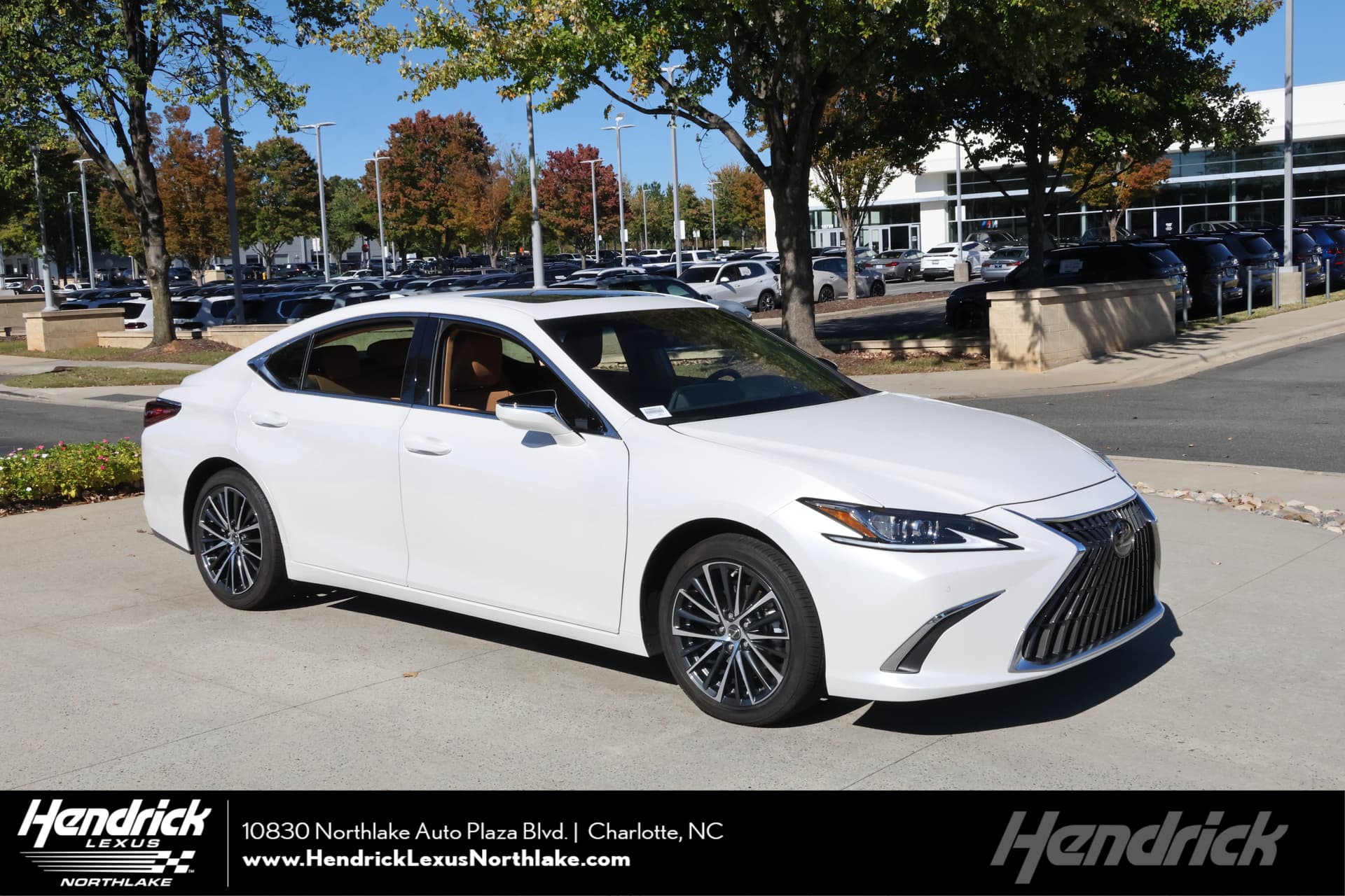 2024 Lexus ES ES 350 — photo 1 of 34