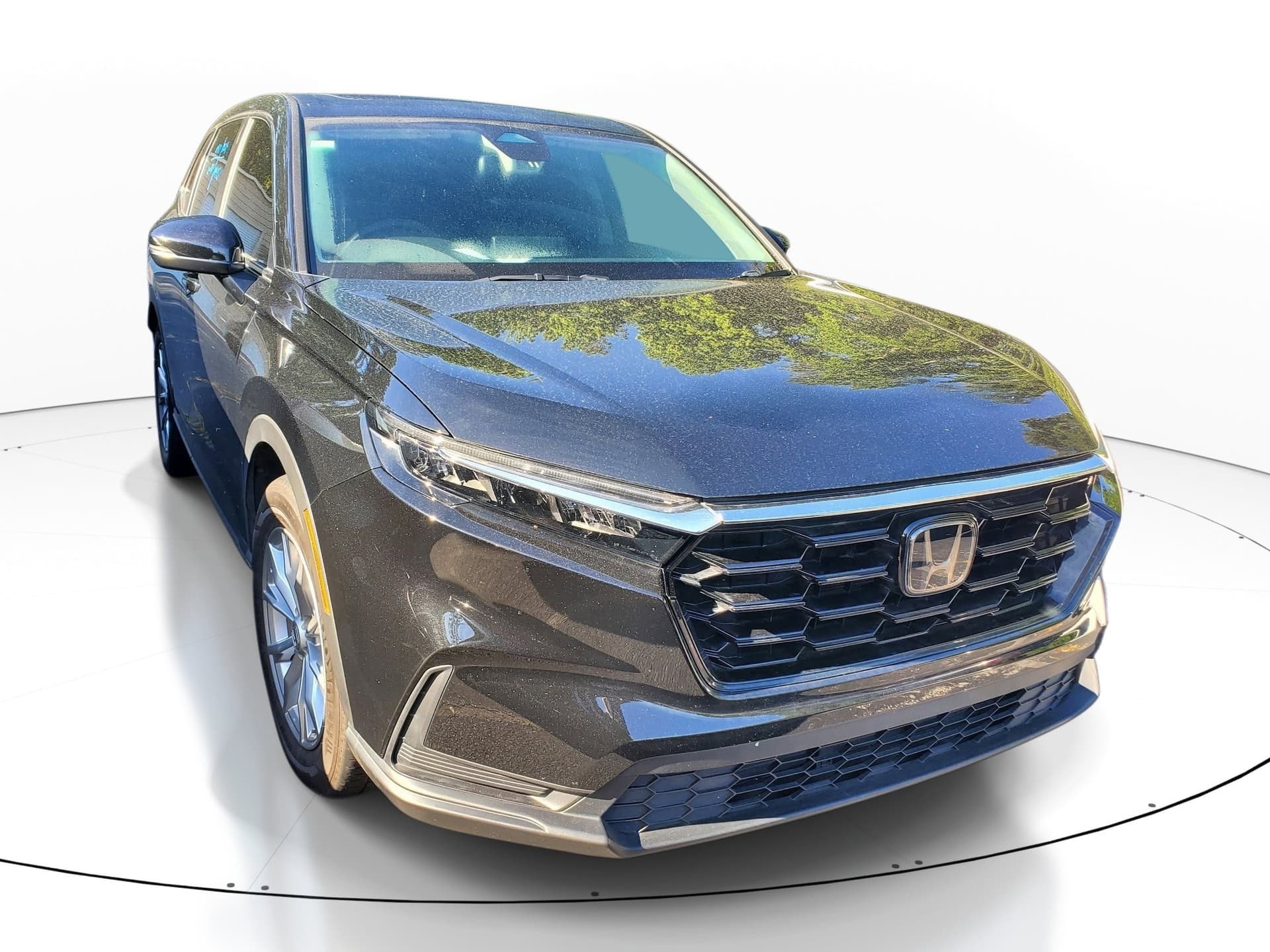 Vehicle Detail Icon