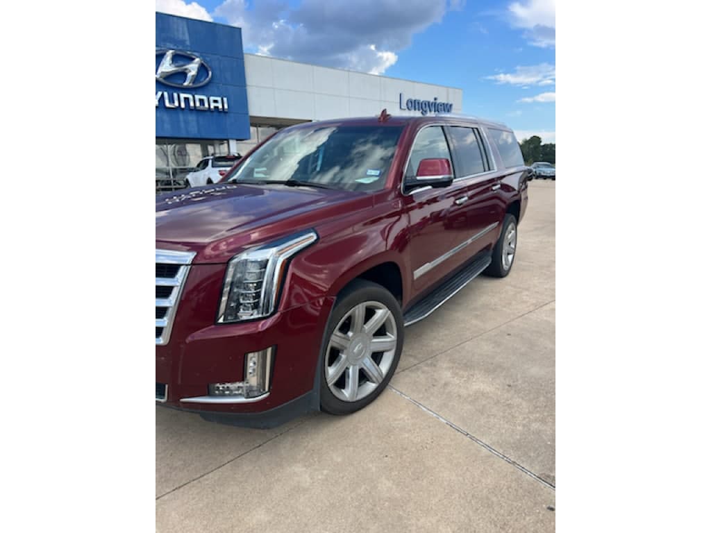 2020 Cadillac Escalade ESV Premium Luxury — photo 1 of 5