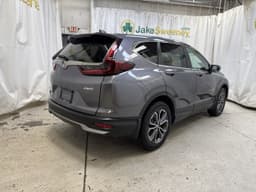 Extra Photo