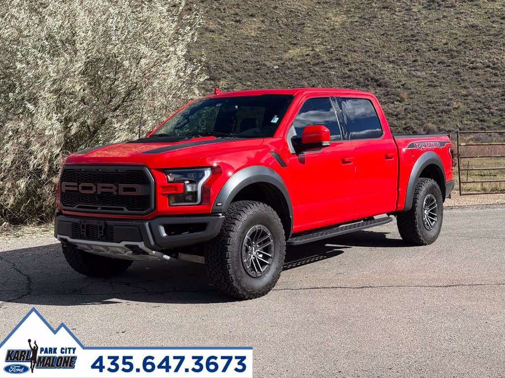 2019 Ford F-150 Raptor — photo 1 of 13