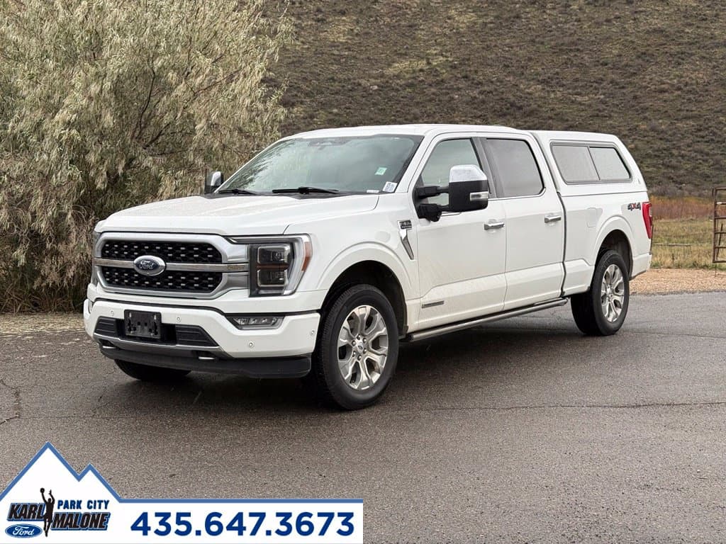 2021 Ford F-150 Platinum — photo 1 of 14