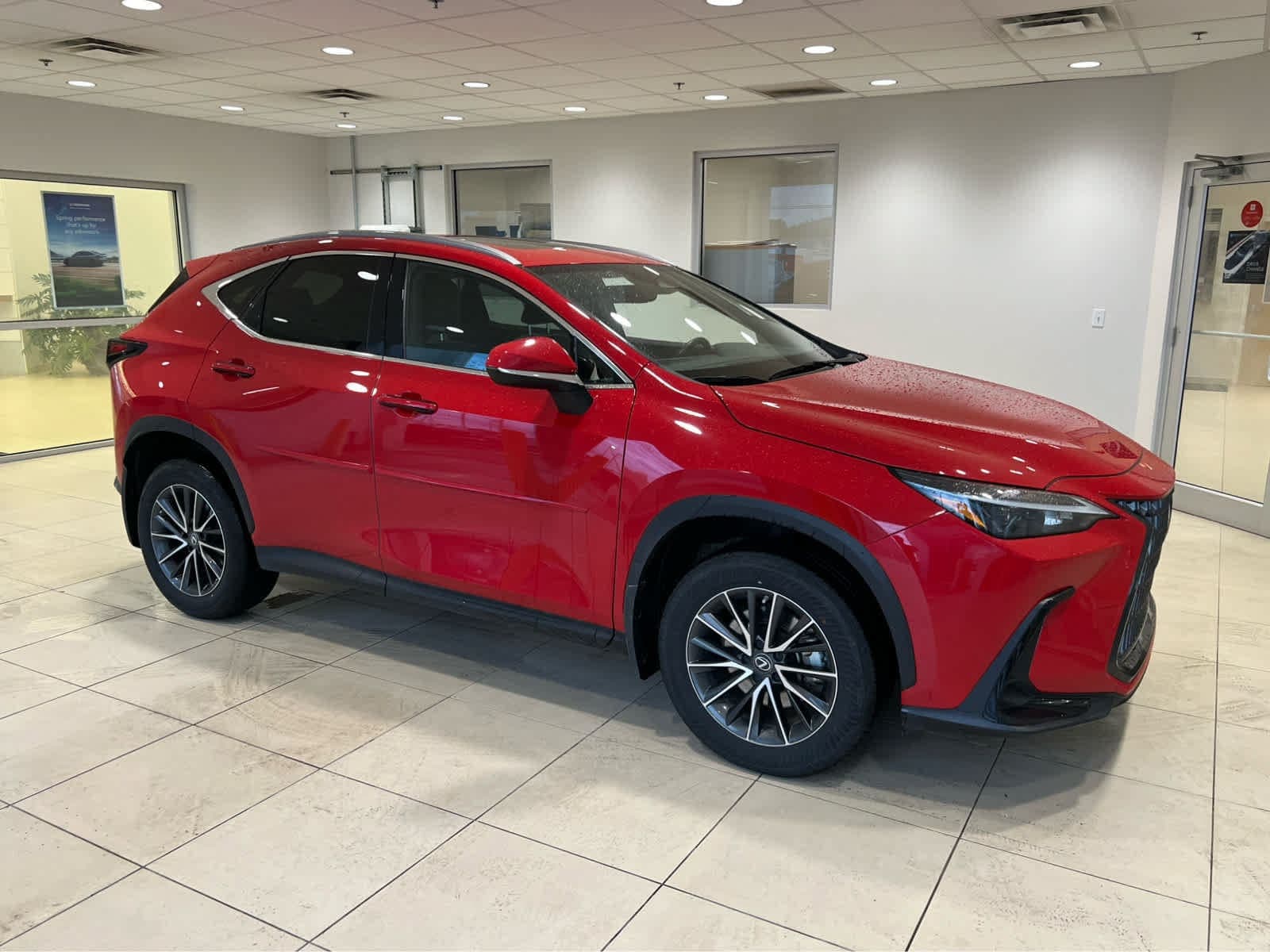 2023 Lexus NX 350h Base — photo 1 of 19