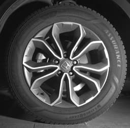 Extra Photo
