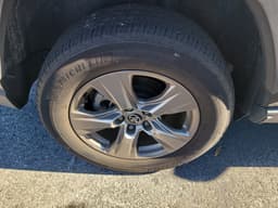 Extra Photo
