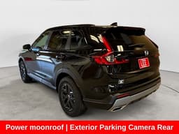 Extra Photo
