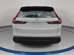 Extra Photo