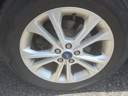 Extra Photo
