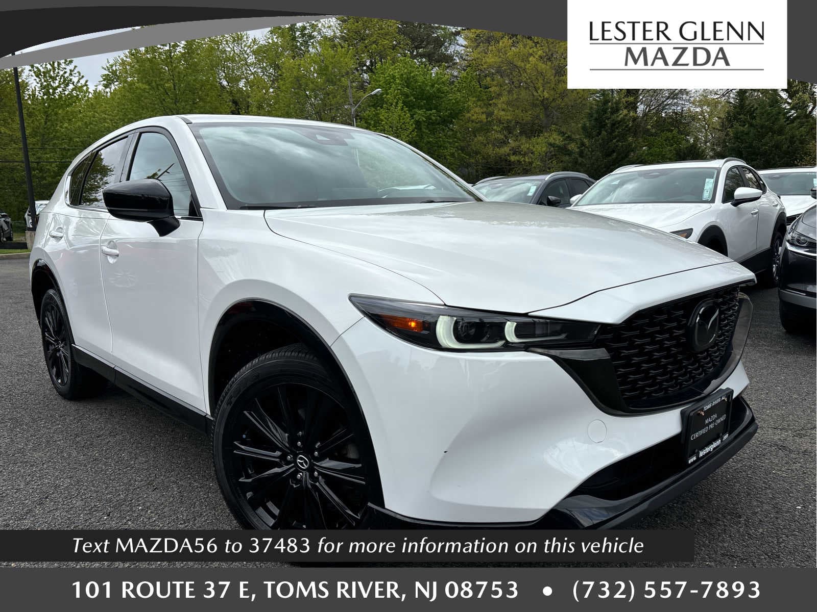 Vehicle Sold Image
