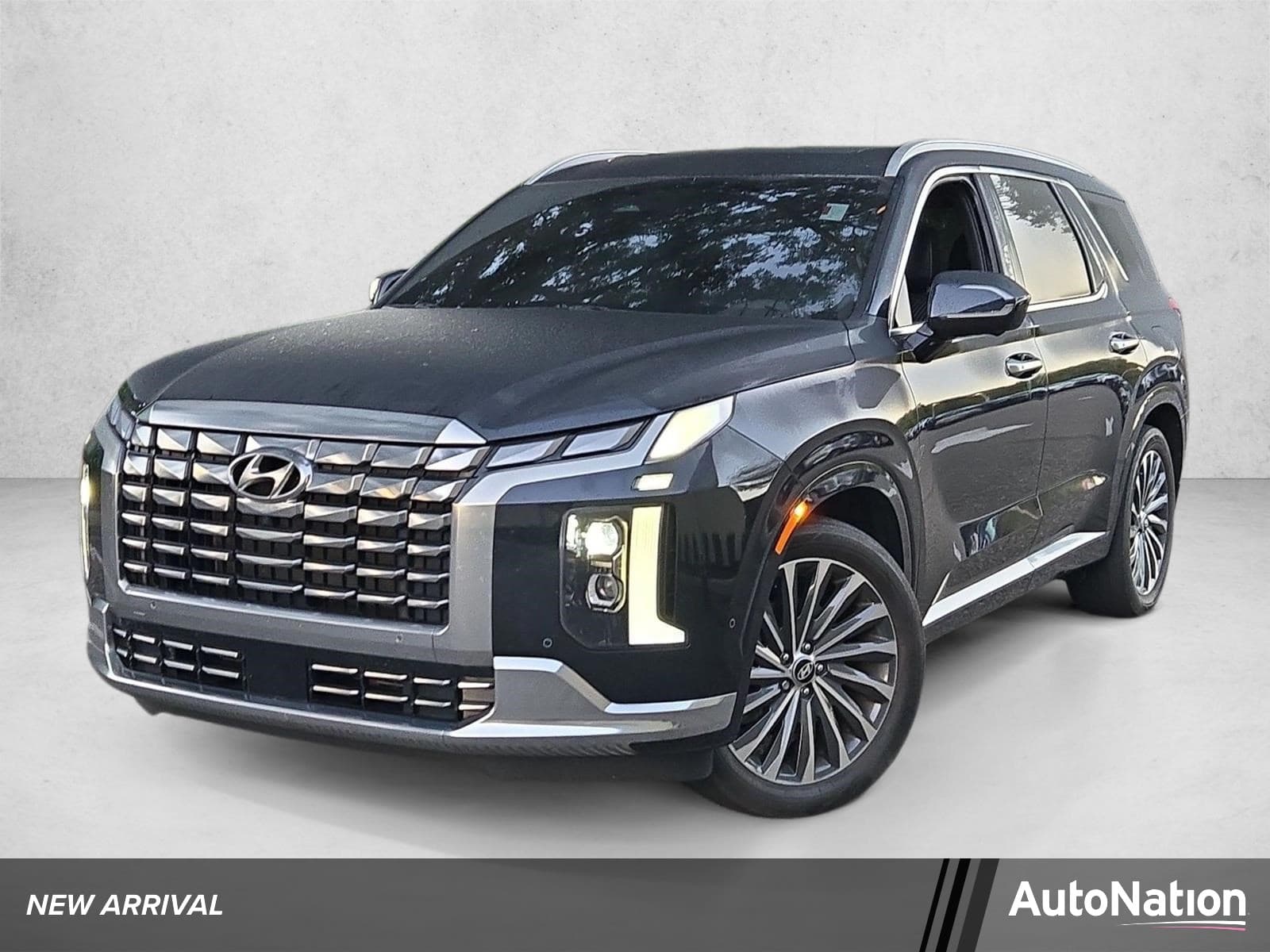 2023 Hyundai Palisade Calligraphy — photo 1 of 15