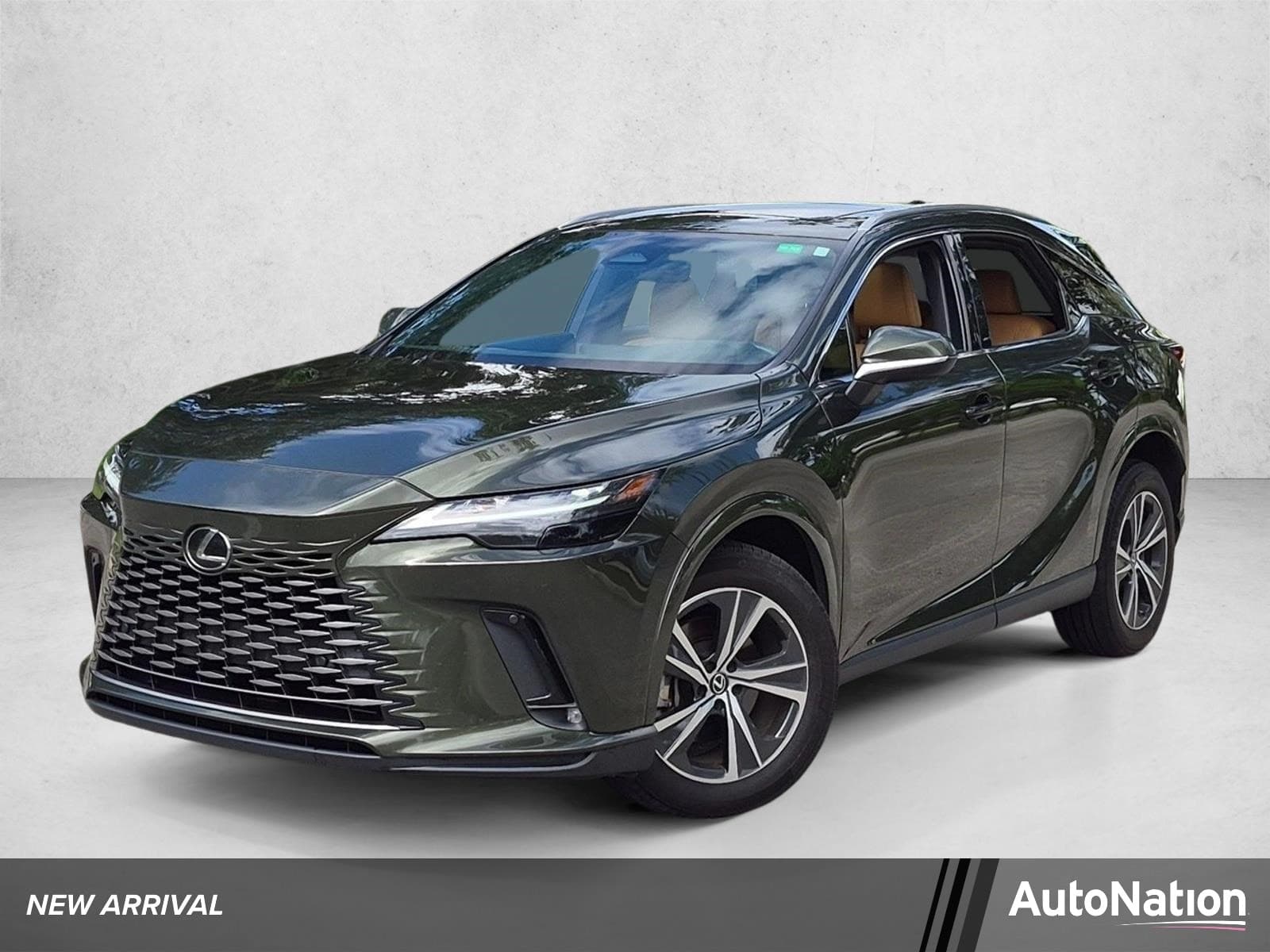 2024 Lexus RX RX 350 — photo 1 of 17