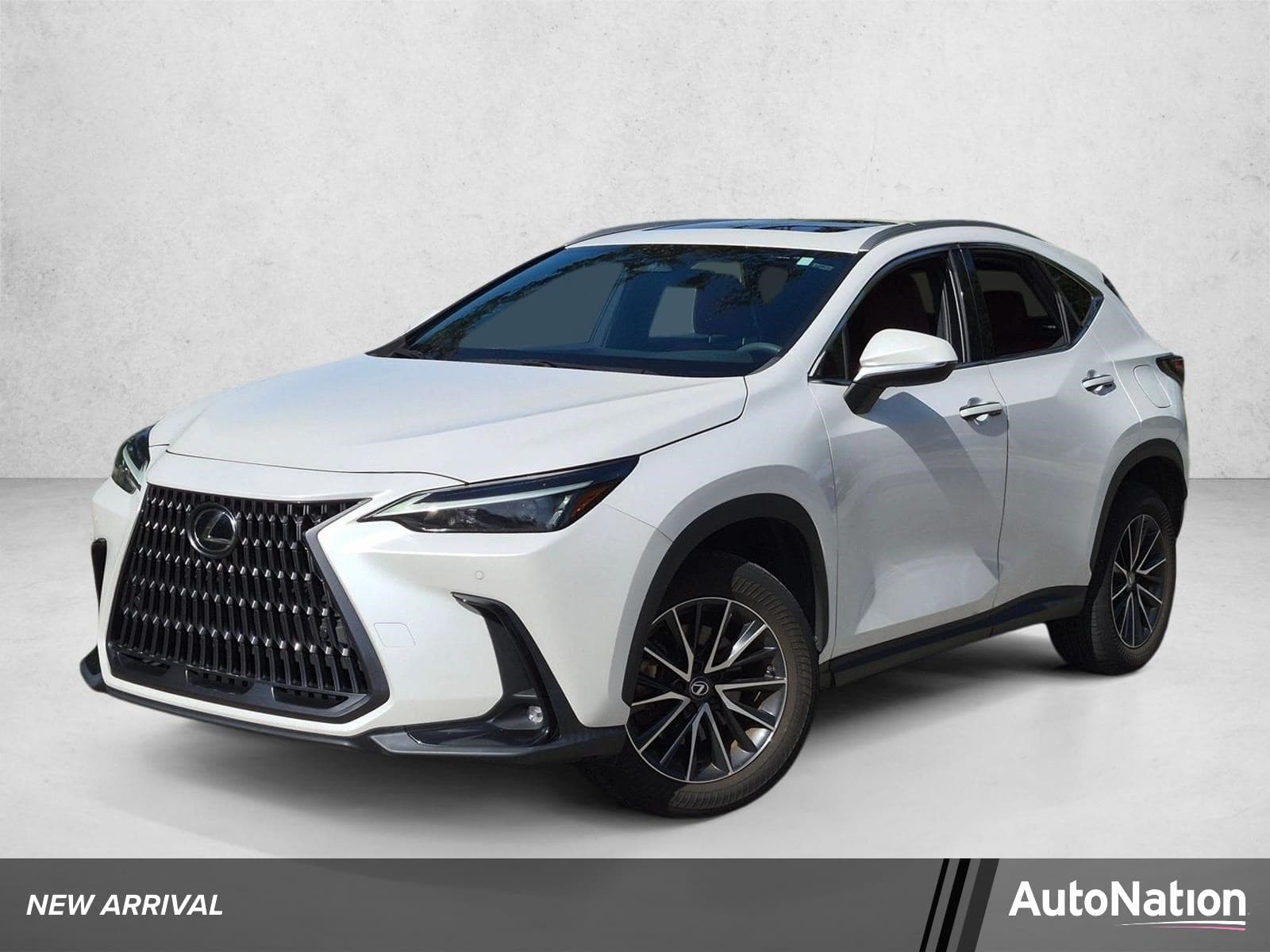 2024 Lexus NX Base — photo 1 of 16