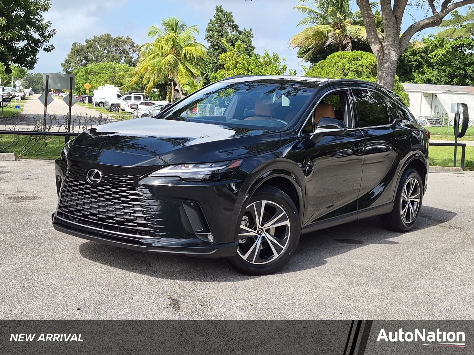 2025 Lexus RX RX 350 Premium — photo 1 of 26