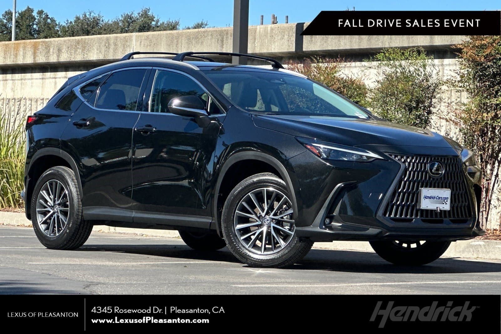 2025 Lexus NX Base — photo 1 of 39