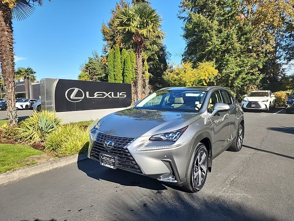 2021 Lexus NX NX 300 Luxury — photo 1 of 30