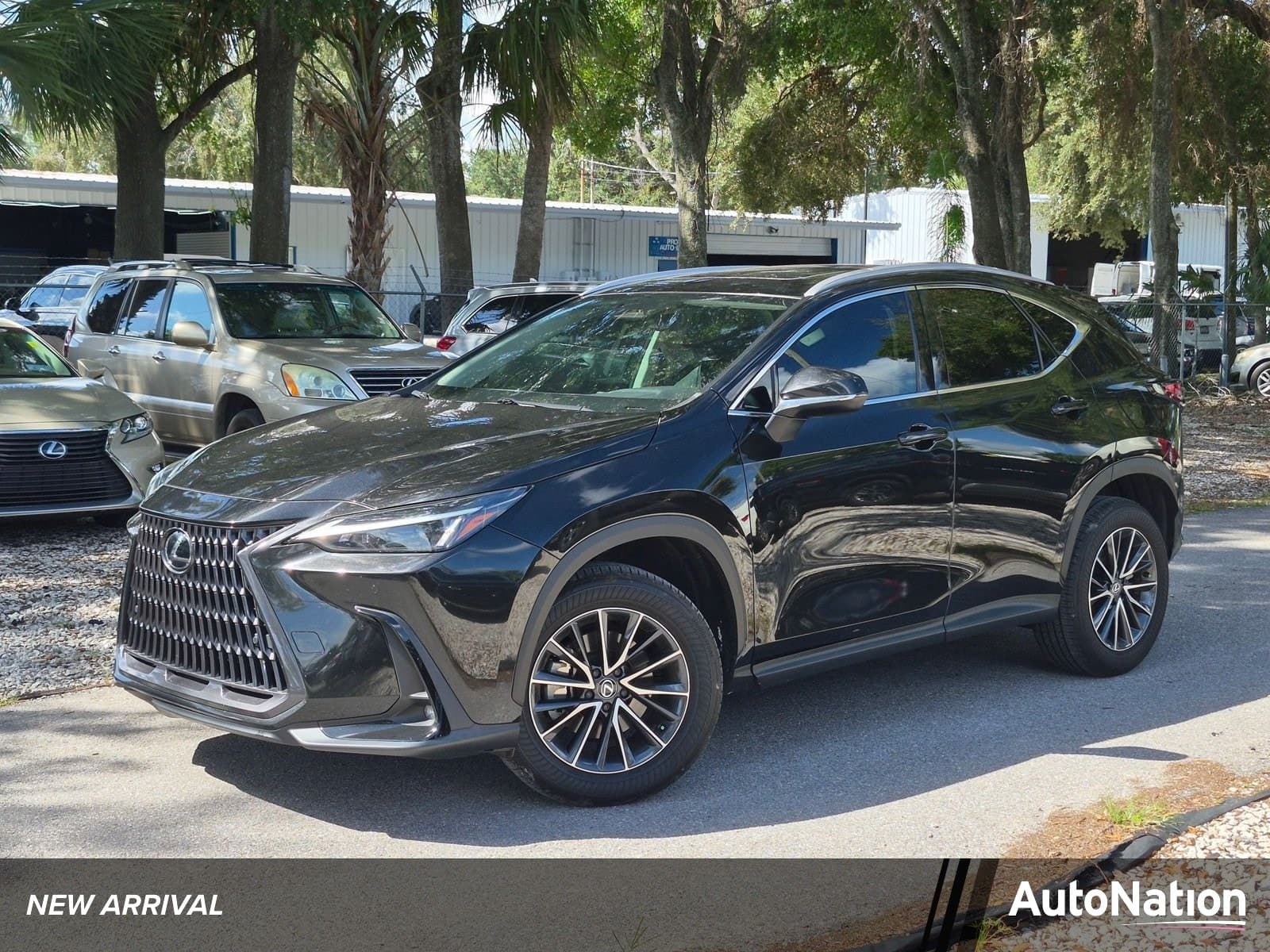 2025 Lexus NX NX 250 Premium — photo 1 of 15