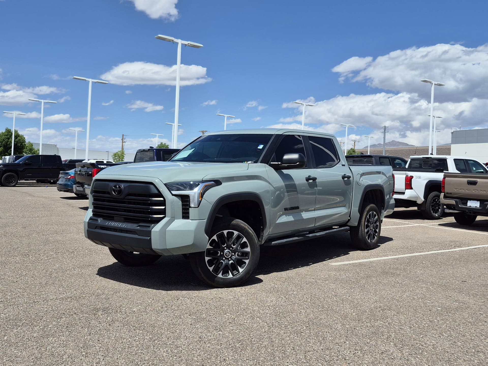 Vehicle Detail Icon